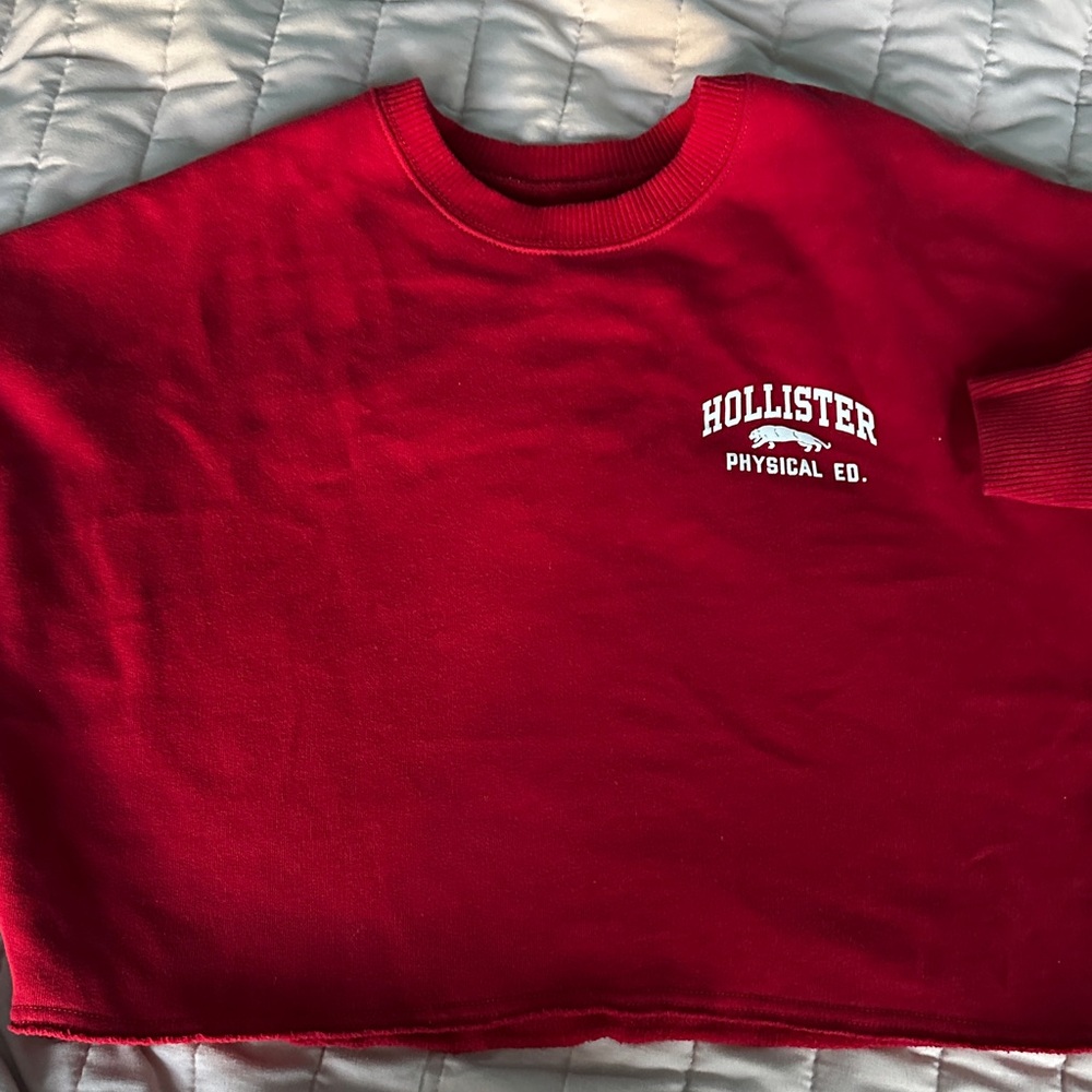 Hollister women Burgundy Sweatshirt
